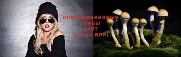 мдма Зеленокумск