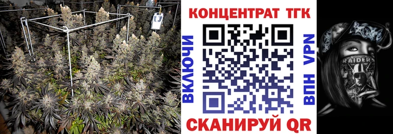 закладка  Михайловка  Дистиллят ТГК Wax 