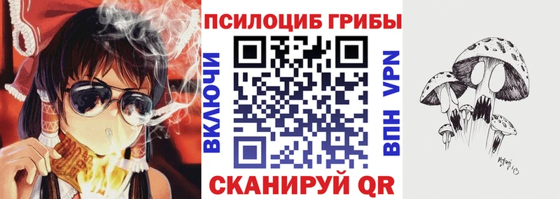 Галлюциногенные грибы ЛСД  Михайловка 